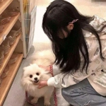 剑雨如歌手游官方下载